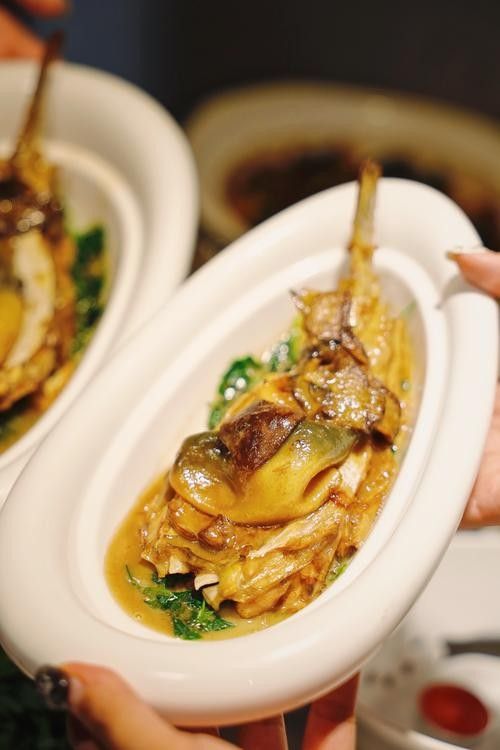 鎮江龍魚專賣店