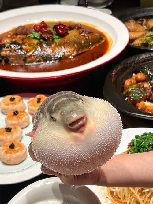 鎮江龍魚專賣店