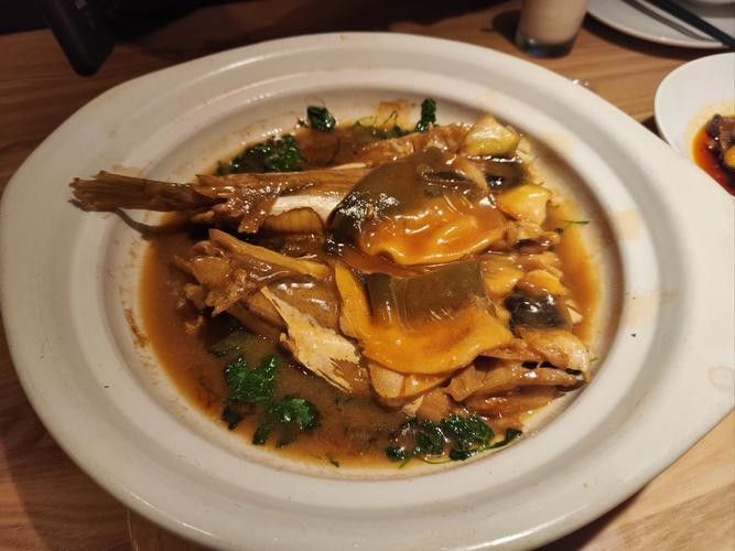 鎮江龍魚專賣店