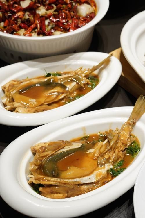 鎮江龍魚專賣店