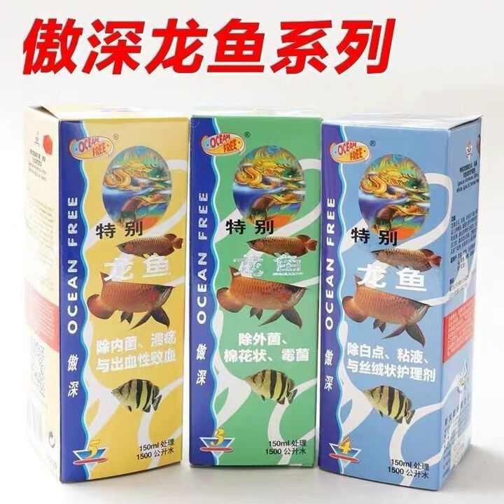 龍魚眼睛破了傲深4號 龍魚眼睛破了傲深4號 龍魚百科 第2張