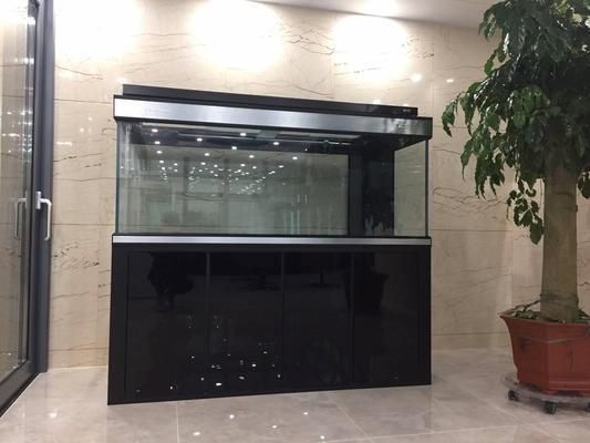 龍魚缸配置要求標(biāo)準(zhǔn)：飼養(yǎng)龍魚需要特別注意魚缸的配置