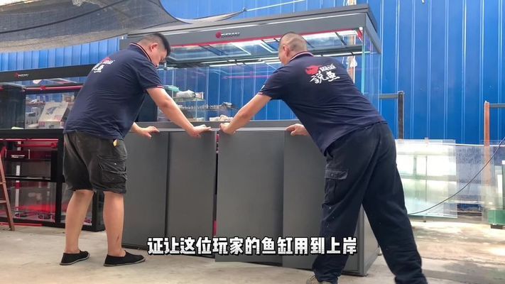 龍魚缸配置要求標準：飼養龍魚需要特別注意魚缸的配置