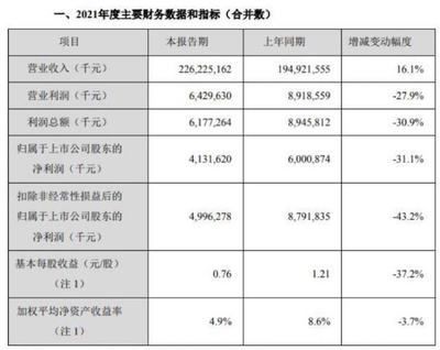 金龍魚項目