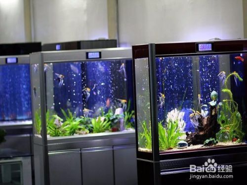 魚缸擺放在客廳什么位置最佳呢圖片（客廳魚缸擺放吉位查詢魚缸與家具搭配指南）