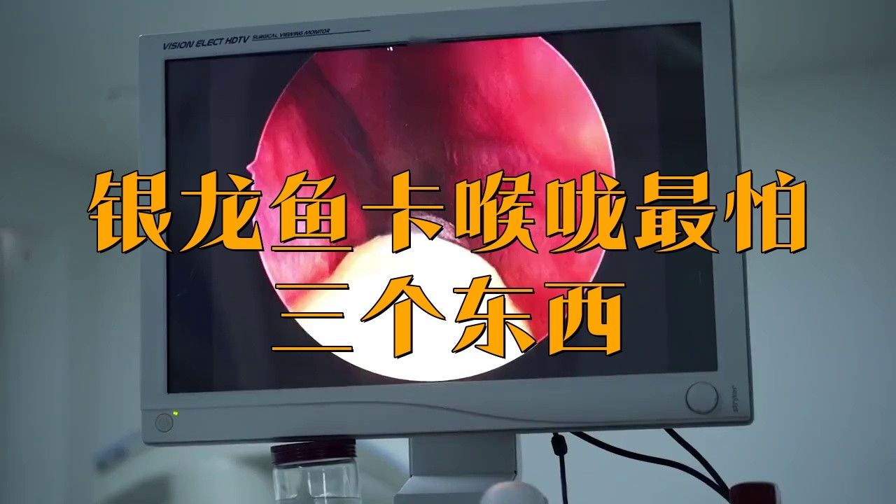 被銀龍魚咬了怎么辦