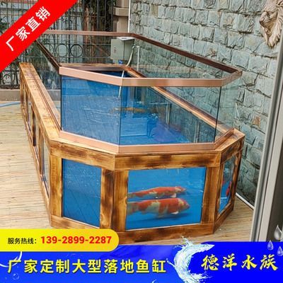 養紅龍魚有什么寓意和象征：養紅龍魚在中國文化中具有深刻寓意和象征意義