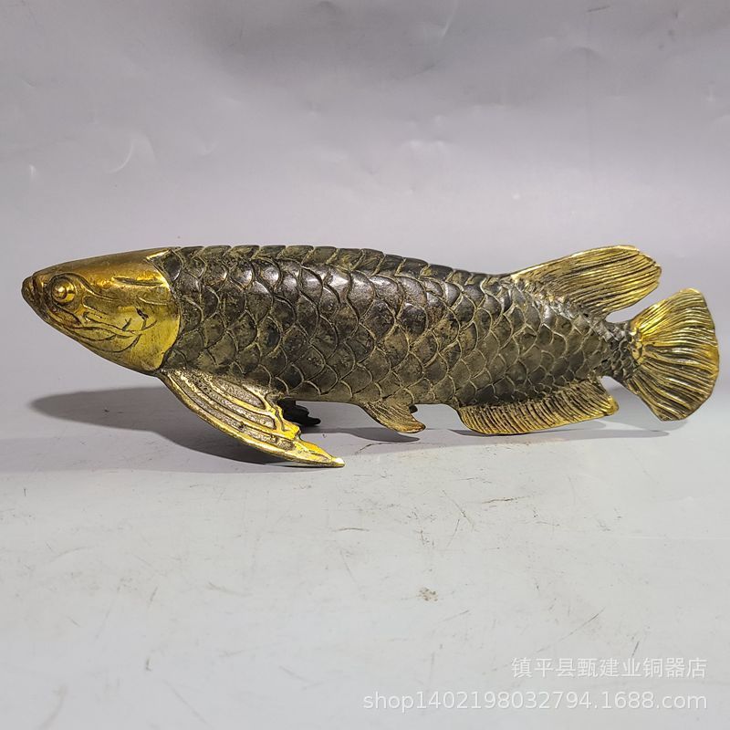 怎么讓金龍魚有金屬感：怎么讓金龍魚具有金屬感