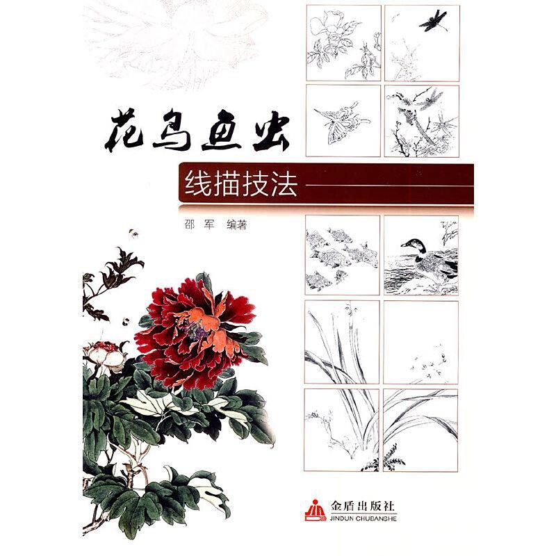 有沒有金龍魚線描的電子教材？