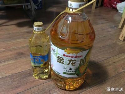 魚缸水忽然白霧蒙蒙怎么回事（如何快速恢復魚缸清澈）