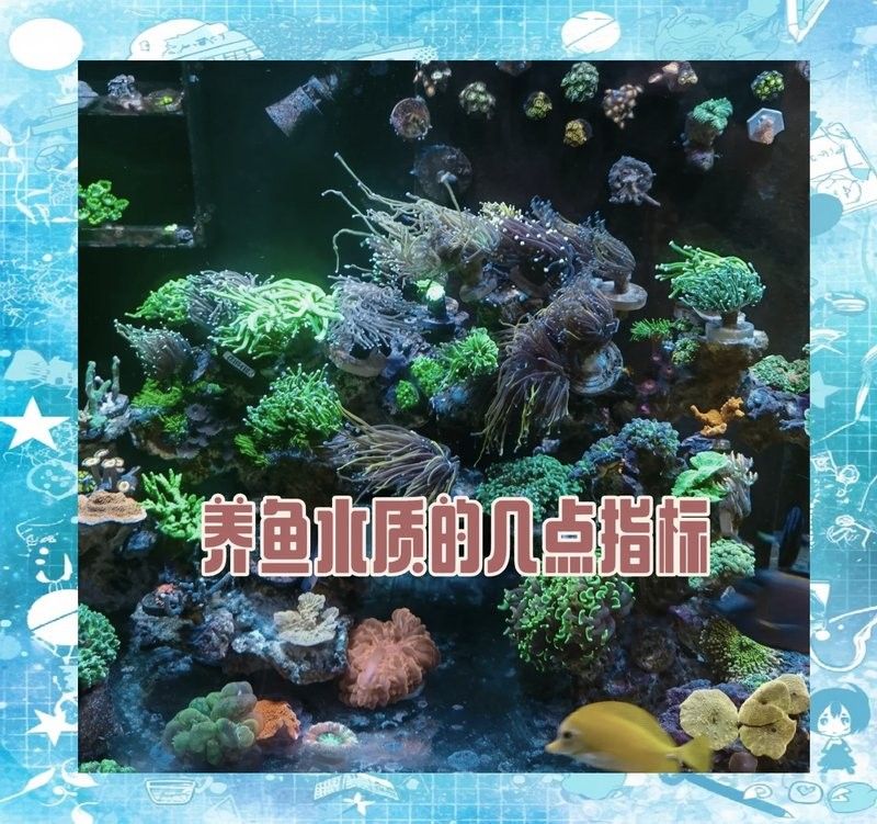 龍魚水質標準dts