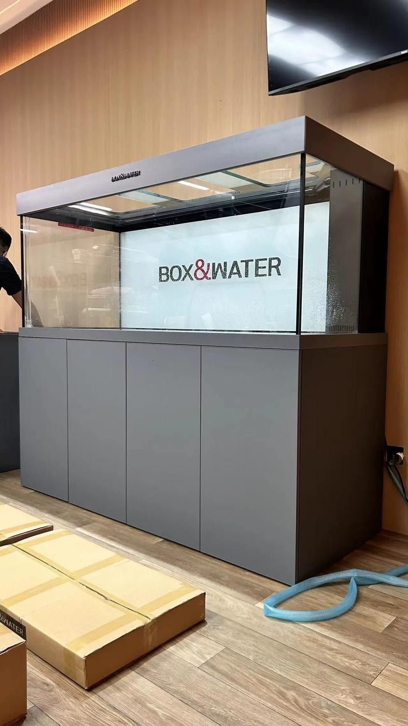 有沒有免費的龍魚缸壁紙？