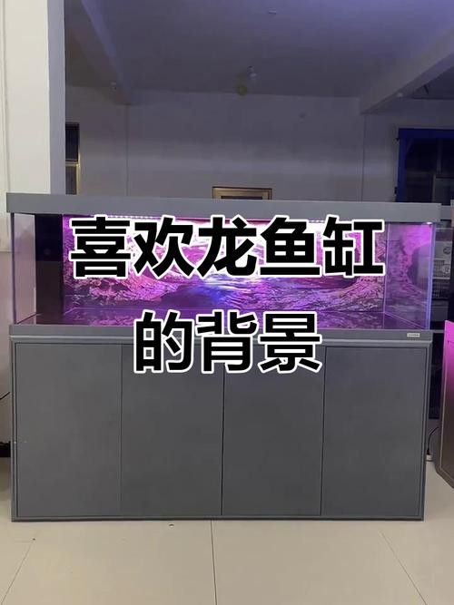 有沒有免費的龍魚缸壁紙？