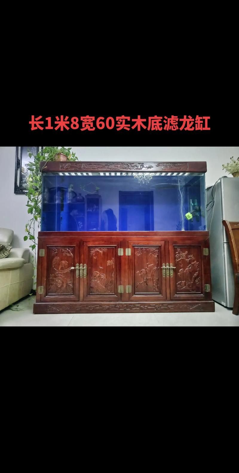 有沒有免費的龍魚缸壁紙？