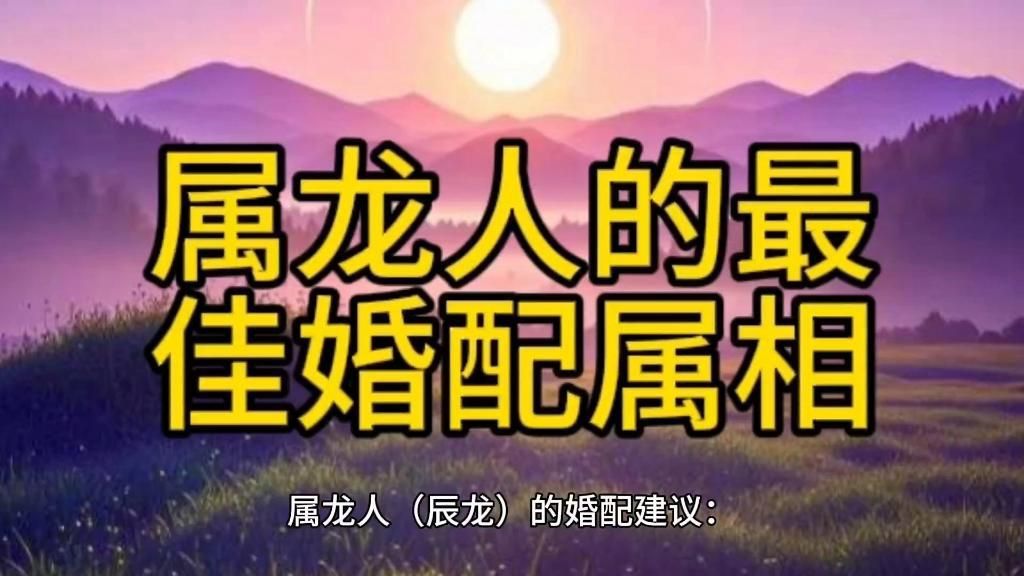 龍最合的四個屬相