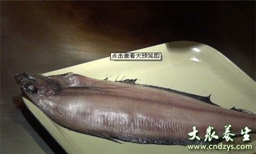 龍魚不想養(yǎng)了怎么保存：不想養(yǎng)的龍魚怎么保存