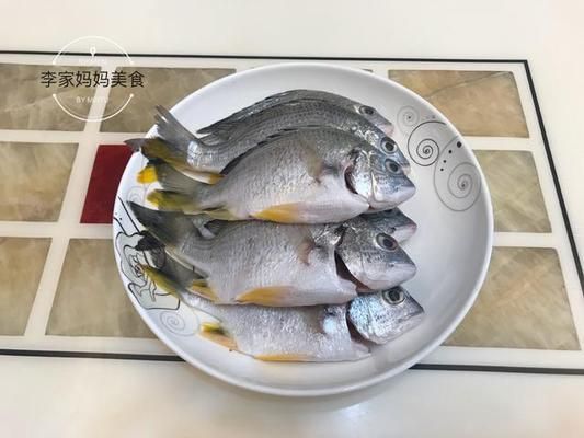 龍魚不想養(yǎng)了怎么保存：不想養(yǎng)的龍魚怎么保存