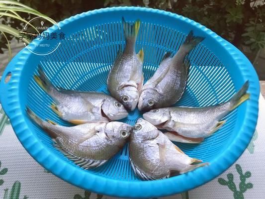龍魚不想養(yǎng)了怎么保存：不想養(yǎng)的龍魚怎么保存