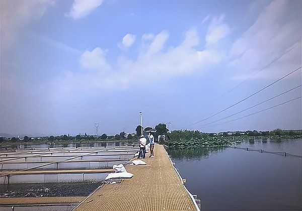 龍游龍和漁業(yè)園老板背景故事