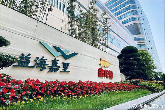 金龍魚中國品牌還是外國品牌