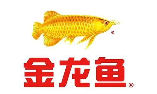 金龍魚中國品牌還是外國品牌