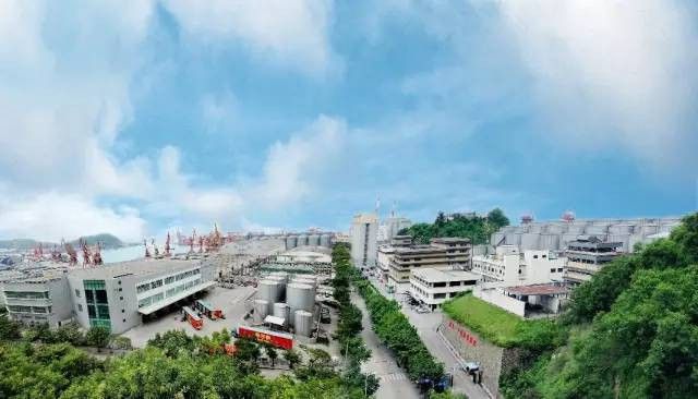 金龍魚中國品牌還是外國品牌