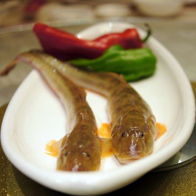 小龍魚(yú)咋做好吃又簡(jiǎn)單：小龍魚(yú)咋做好吃又簡(jiǎn)單小龍魚(yú)的簡(jiǎn)單做法做法