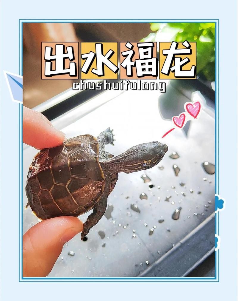 升溫刺激期間需要換水嗎？