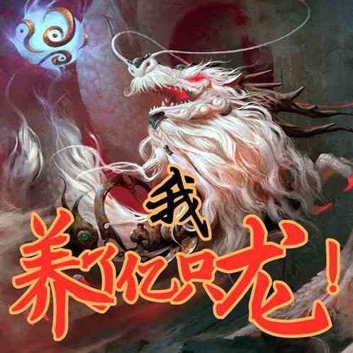 《養龍》系列有哪些衍生作品？