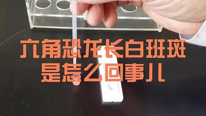如何預防六角龍魚的白斑病? 龍魚百科 第9張 如何預防六角龍魚的白斑病? 如何預防六角龍魚的白斑病? 龍魚百科 第9張