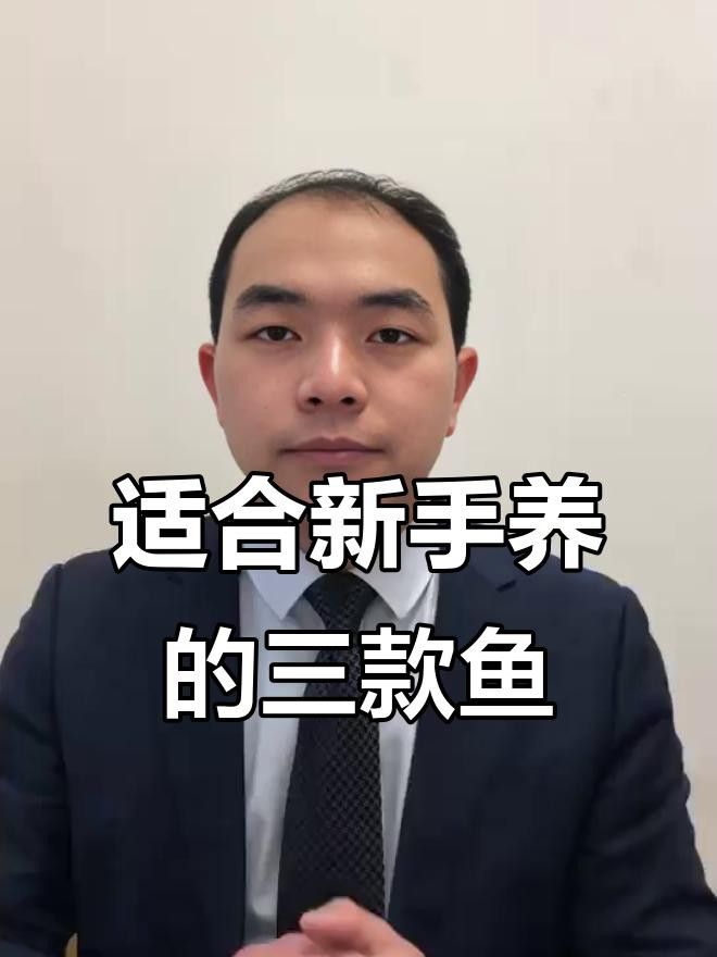 給我推薦一些適合新手混養的魚類