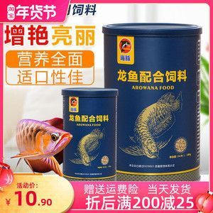 金龍魚成魚多長時間能吃飼料：關于金龍魚成魚吃飼料的一些詳細信息