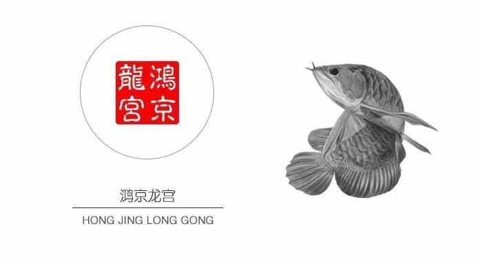 鴻京龍宮紅龍魚(yú)怎么樣：鴻京龍宮紅龍魚(yú)怎么樣鴻京龍宮紅龍魚(yú)怎么樣