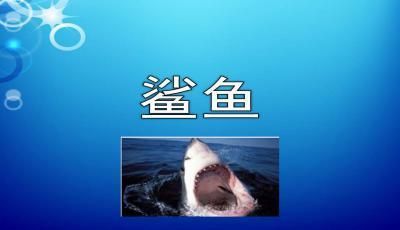 哪種魚好養不容易死：什么魚最好養不容易死？龍魚好養嗎？