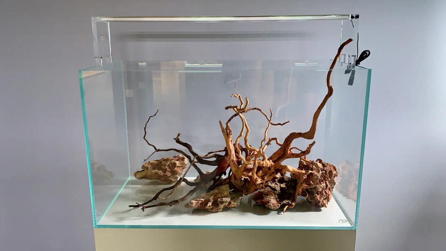 紅龍魚缸造景圖片欣賞大全