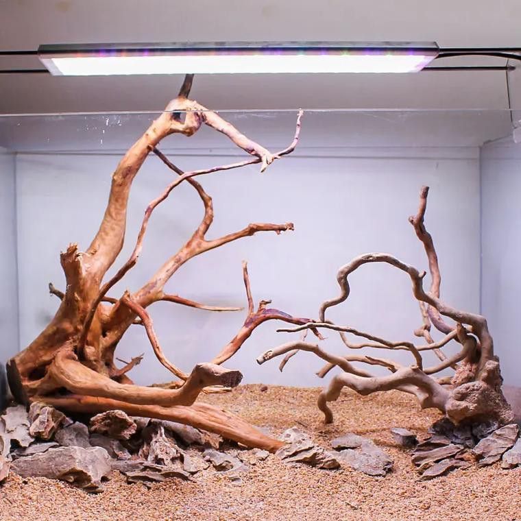 紅龍魚缸造景圖片欣賞大全