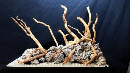 紅龍魚缸造景圖片欣賞大全