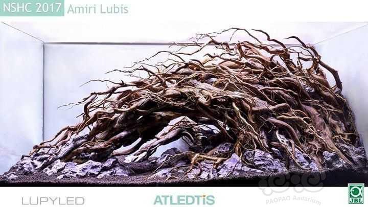 紅龍魚缸造景圖片欣賞大全