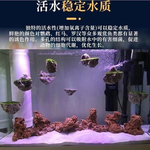 紅龍魚缸造景圖片欣賞大全