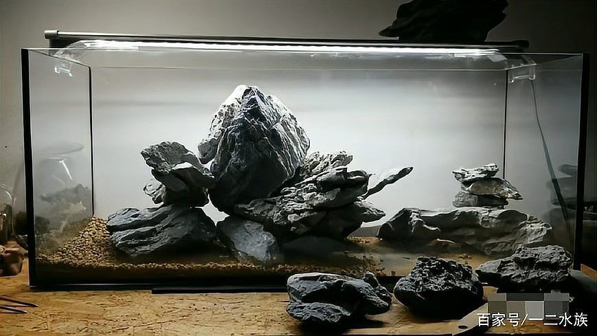 紅龍魚缸造景圖片欣賞大全