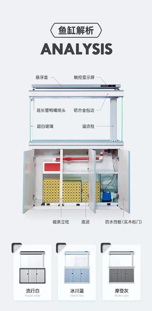 紅龍魚缸造景圖片欣賞大全