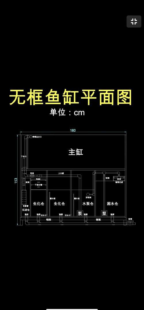 紅龍魚缸造景圖片欣賞大全