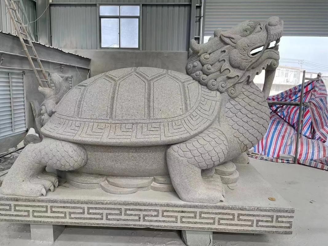 龍龜的頭朝向正確圖