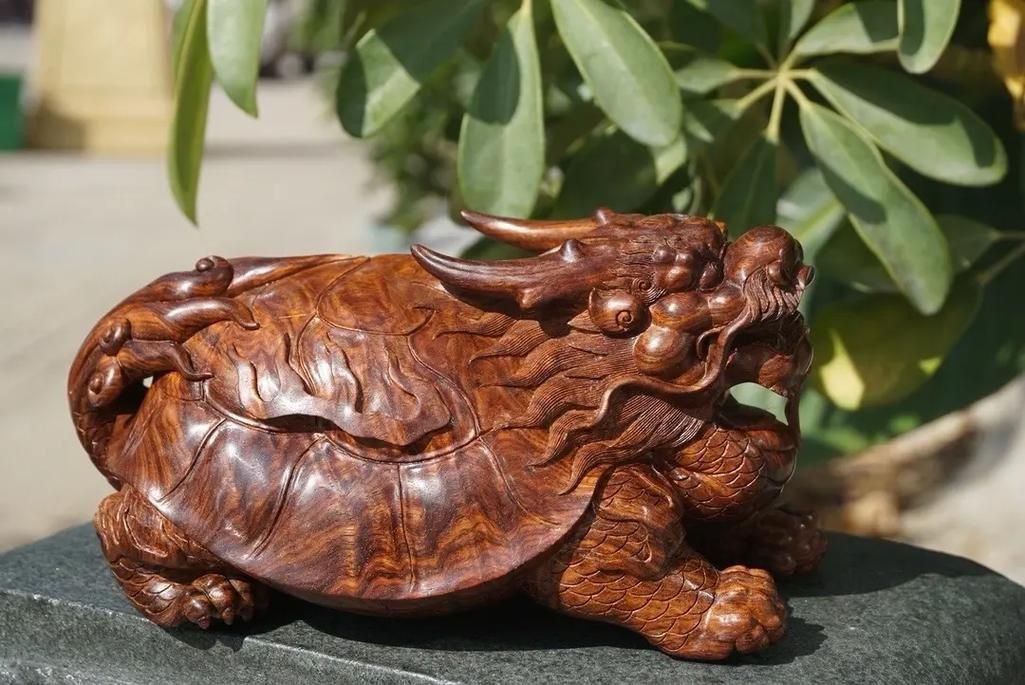 龍龜的頭朝向正確圖