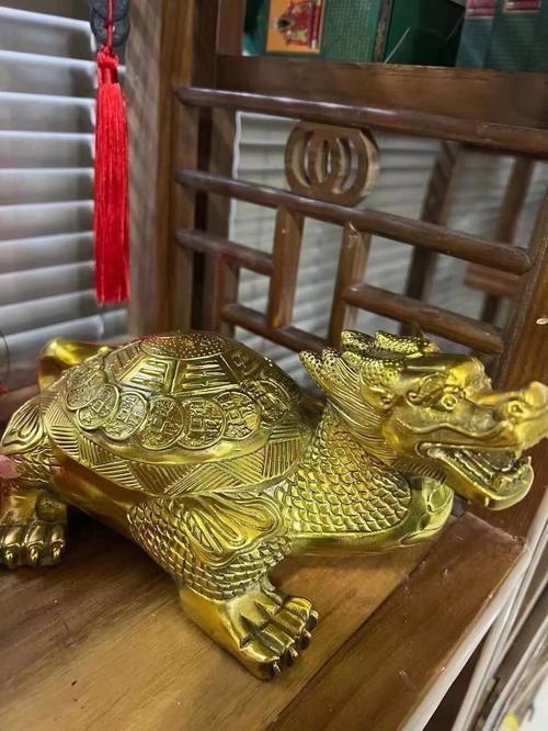 龍龜的頭朝向正確圖