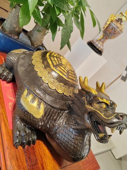 龍龜的頭朝向正確圖