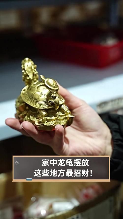 龍龜的頭朝向正確圖
