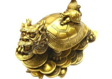 龍龜的頭朝向正確圖