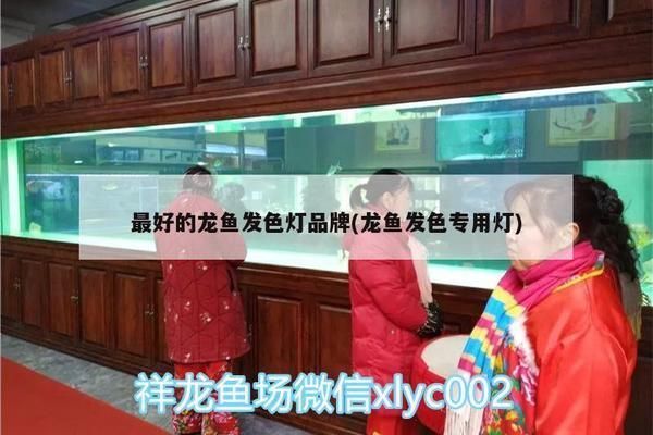 龍魚發色燈什么牌子好一點的呢圖片：龍魚發色燈品牌和型號搜索結果整理的一些知名品牌和型號