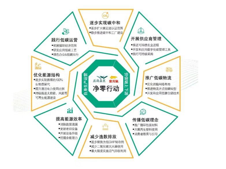 金龍魚如何優(yōu)化能源結(jié)構(gòu)？